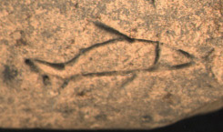 Cuneiform Tablet - P001247 - Written By Anna